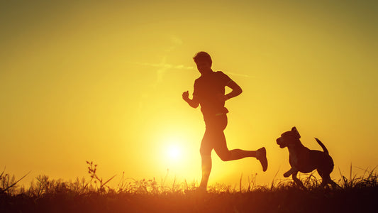 Running with Dogs: What You Should Know